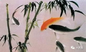 魚(yú)典故