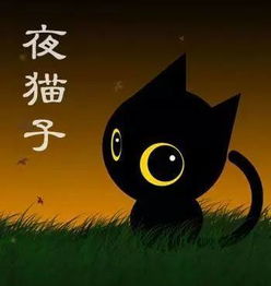 夜貓子典故