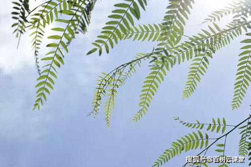 言過(guò)其實(shí)的典故