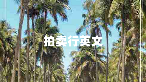 拍賣(mài)行英文