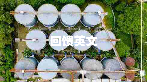 回饋英文