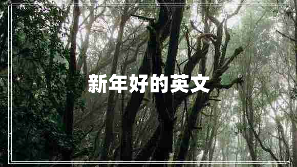 新年好的英文