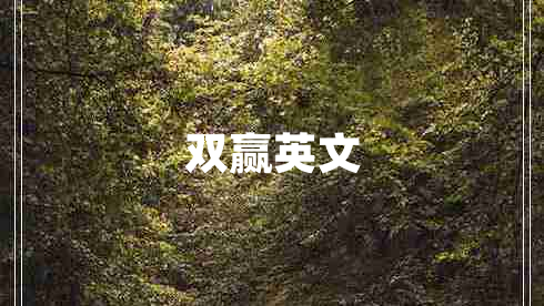 雙贏(yíng)英文