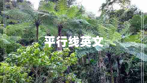 平行線英文
