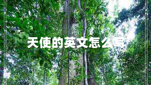 天使的英文怎么寫(xiě)