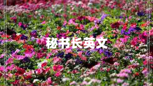 秘書長英文