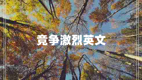競(jìng)爭(zhēng)激烈英文