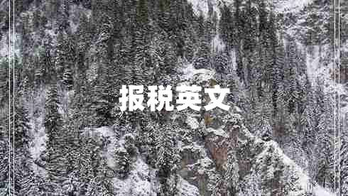 報稅英文