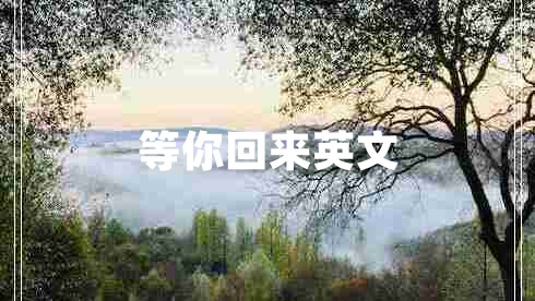 等你回來(lái)英文