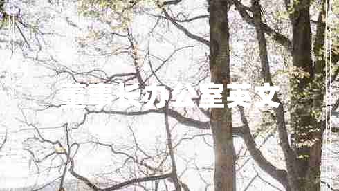 董事長(cháng)辦公室英文