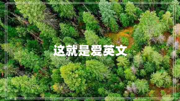 這就是愛英文