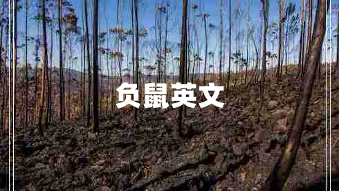 負(fù)鼠英文