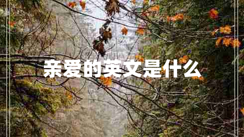 親愛(ài)的英文是什么