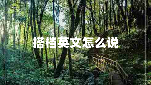 搭檔英文怎么說(shuō)