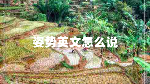 姿勢英文怎么說(shuō)
