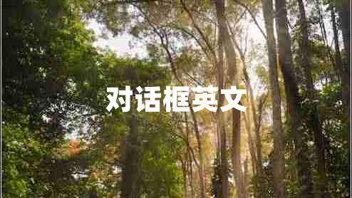 對(duì)話框英文