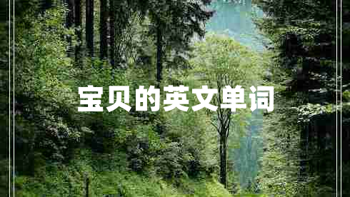 寶貝的英文單詞