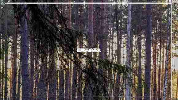 跟我來的英文 跟我來的英文