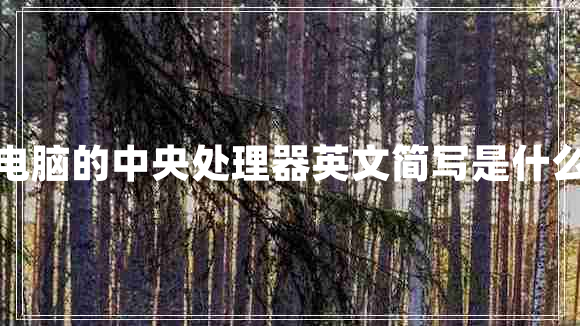 電腦的中央處理器英文簡(jiǎn)寫(xiě)是什么