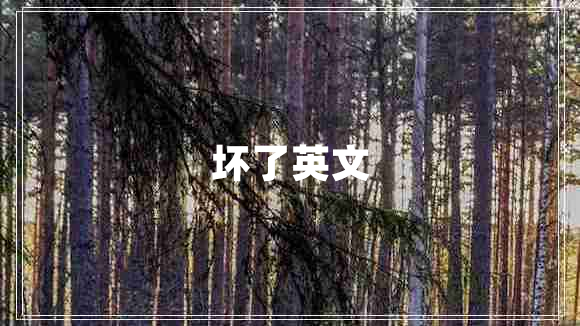 壞了英文