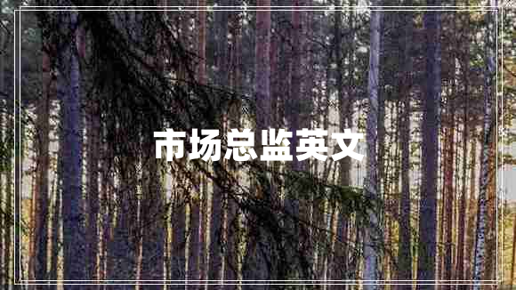 市場(chǎng)總監英文