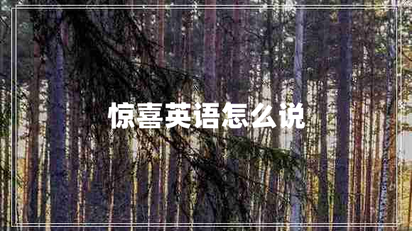 驚喜英語(yǔ)怎么說(shuō)
