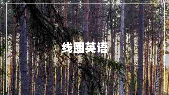 線(xiàn)圈英語(yǔ)