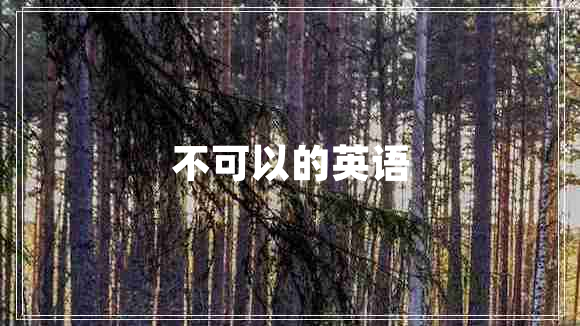 不可以的英語