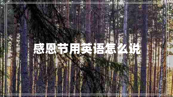 感恩節(jié)用英語(yǔ)怎么說(shuō)
