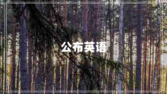 公布英語(yǔ)