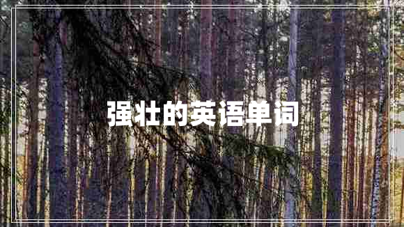 強(qiáng)壯的英語單詞