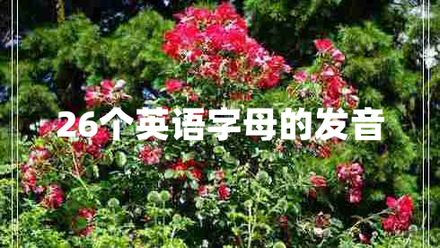 26個(gè)英語(yǔ)字母的發(fā)音