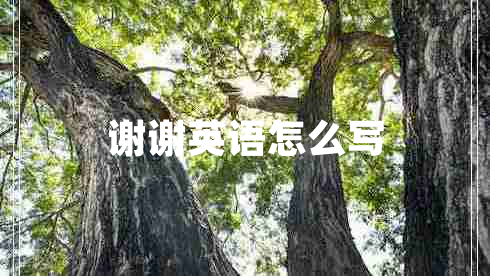 謝謝英語(yǔ)怎么寫(xiě)