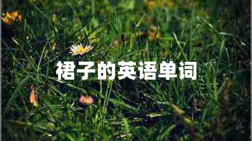 裙子的英語(yǔ)單詞