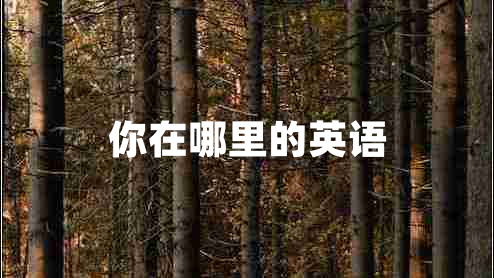 你在哪里的英語(yǔ)