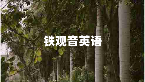 鐵觀音英語