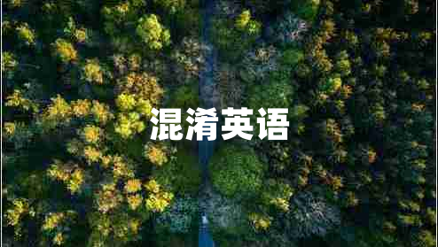 混淆英語(yǔ)