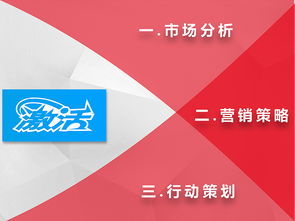 市場(chǎng)營(yíng)銷(xiāo)整體策劃方案