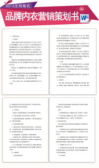 內衣營業(yè)推廣策劃方案