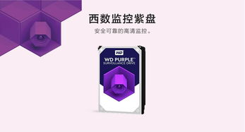 海康威視渠道大會策劃方案