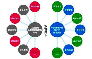 業(yè)務(wù)推廣策劃方案