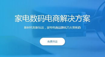同城購策劃運營方案