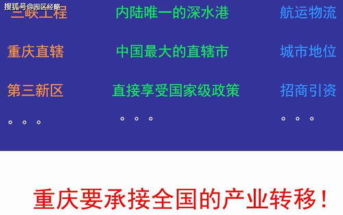 死飛固齒在新鄉市場(chǎng)的營(yíng)銷(xiāo)策劃方案總結