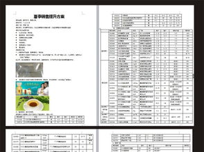 夏天活動策劃方案
