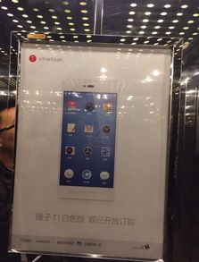 錘子手機(jī)營銷策劃方案