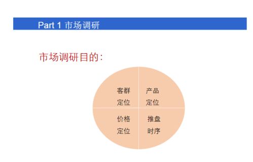 小產(chǎn)權(quán)房操盤(pán)策劃方案