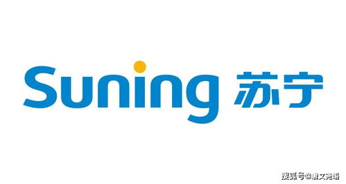 蘇寧電器營(yíng)銷策劃方案