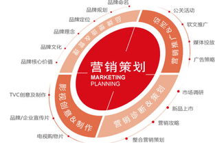 藏茶營(yíng)銷(xiāo)策劃方案
