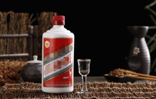 國酒茅臺品鑒會(huì )活動(dòng)策劃方案ppt