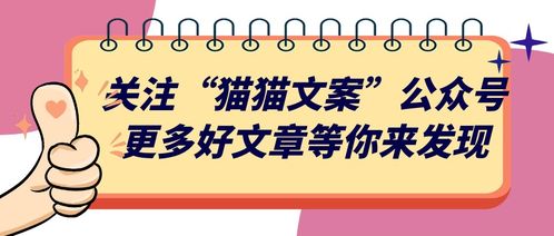 小學(xué)生策劃方案怎么寫(xiě)